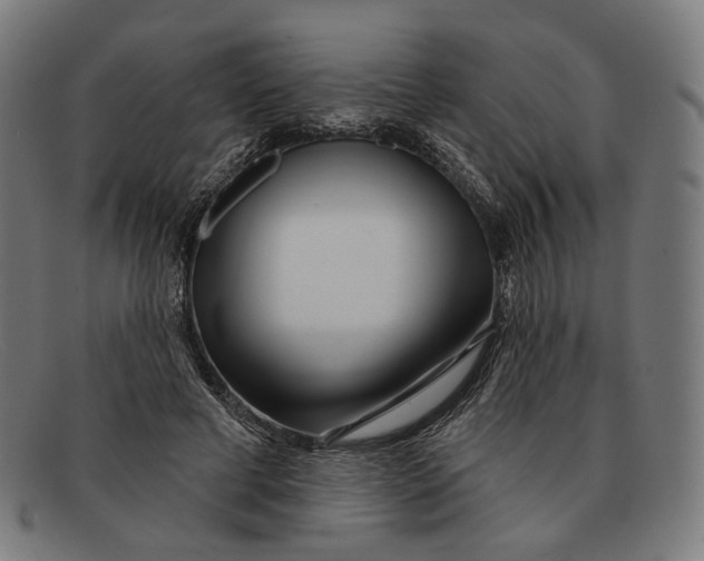 X0000091470593200709131754