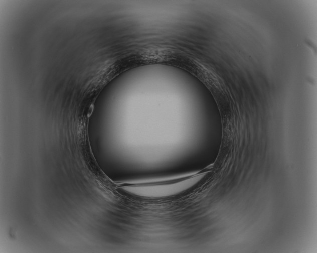 X0000091470601200709131754