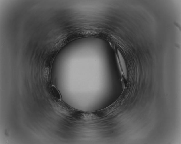 X0000091470605200709131754