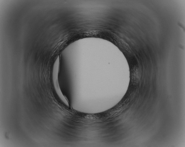 X0000091470608200709131754