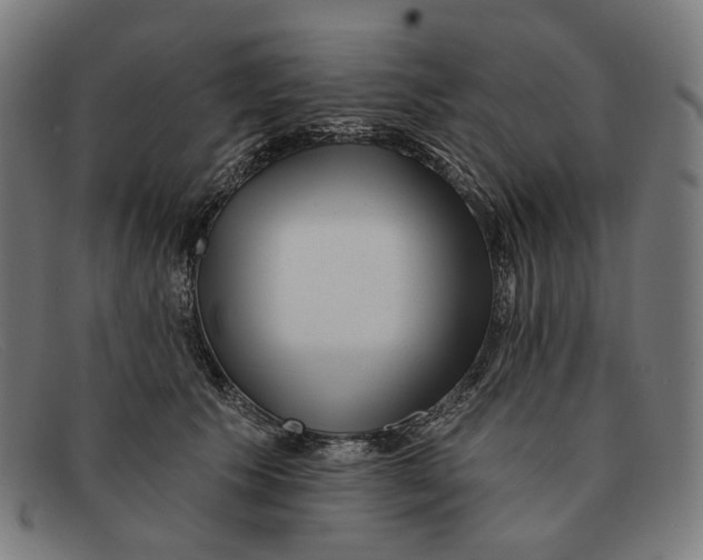 X0000091470609200709131754