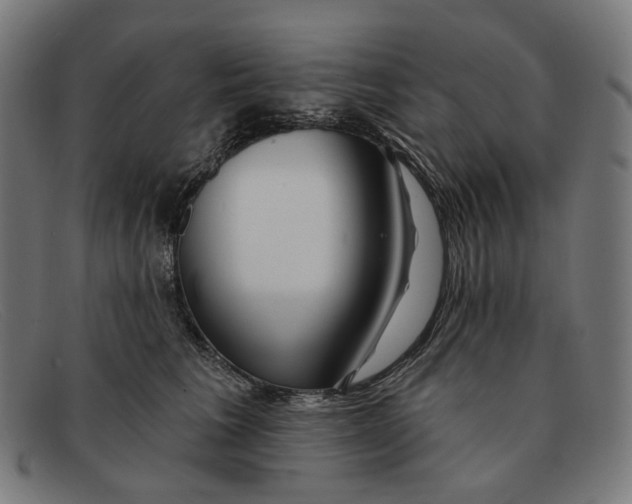 X0000091470613200709131754