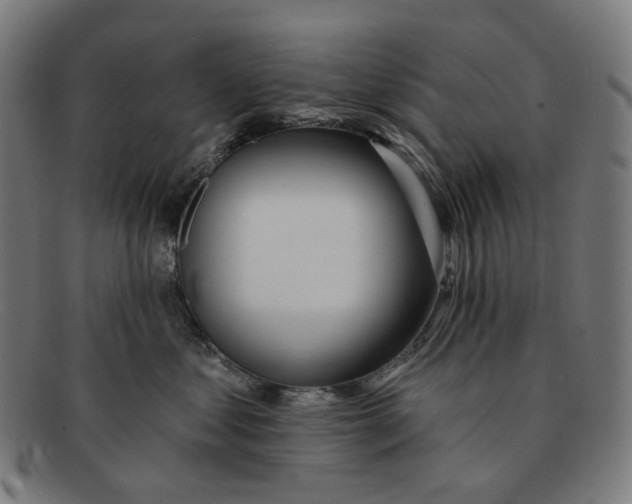 X0000091470621200709131754