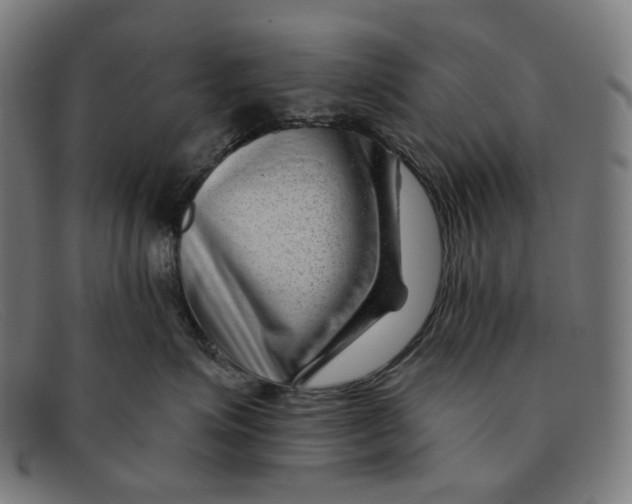 X0000091470623200709131754