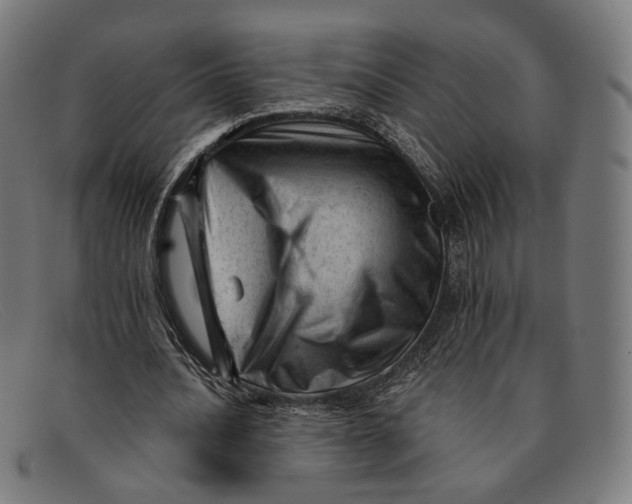 X0000091470628200709131753