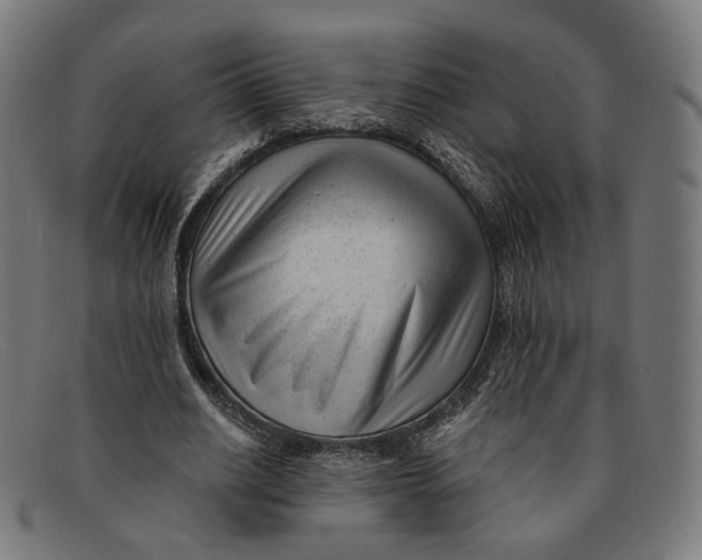 X0000091470630200709131753