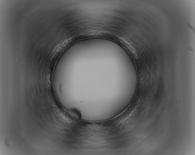 X0000091470633200709131753