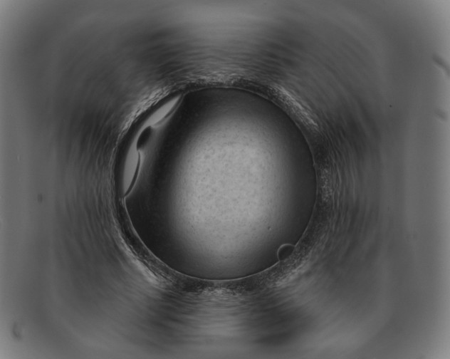 X0000091470634200709131753