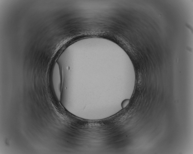 X0000091470636200709131753