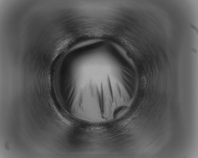 X0000091470638200709131753