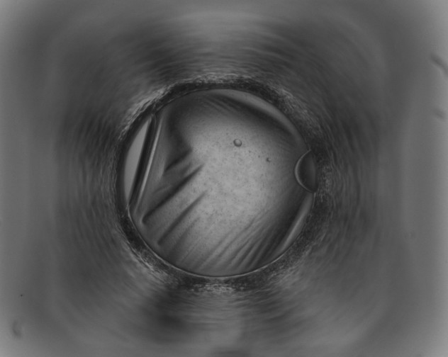 X0000091470640200709131753