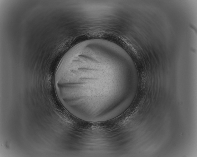 X0000091470641200709131753