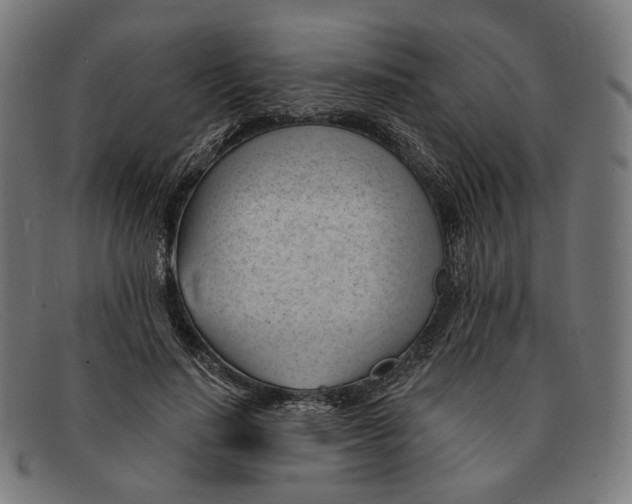 X0000091470644200709131753