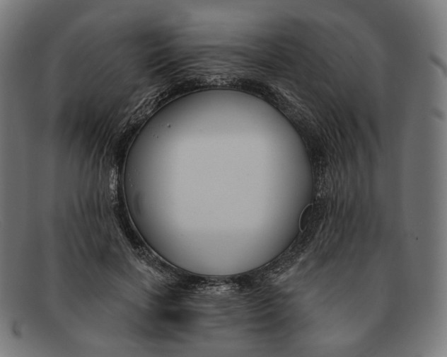 X0000091470646200709131753