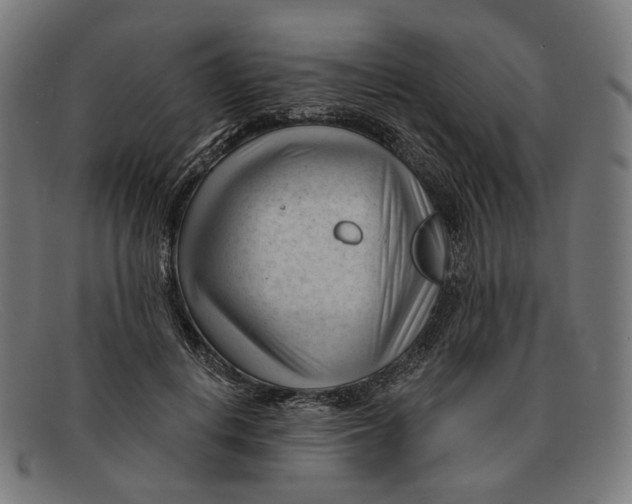 X0000091470648200709131753