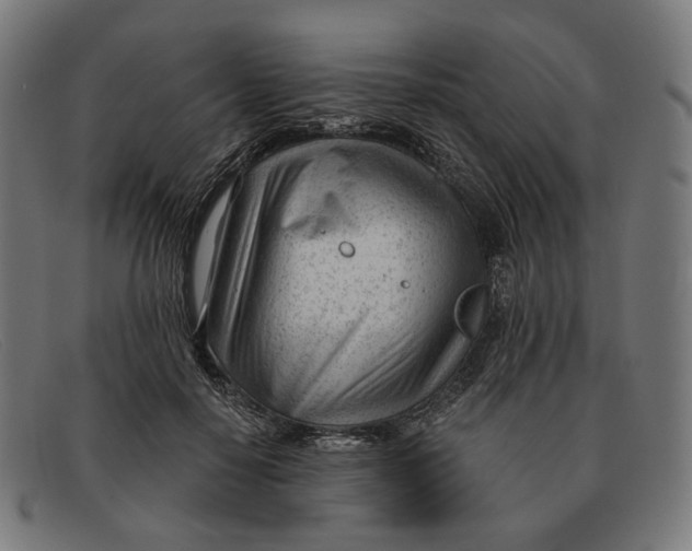 X0000091470650200709131753