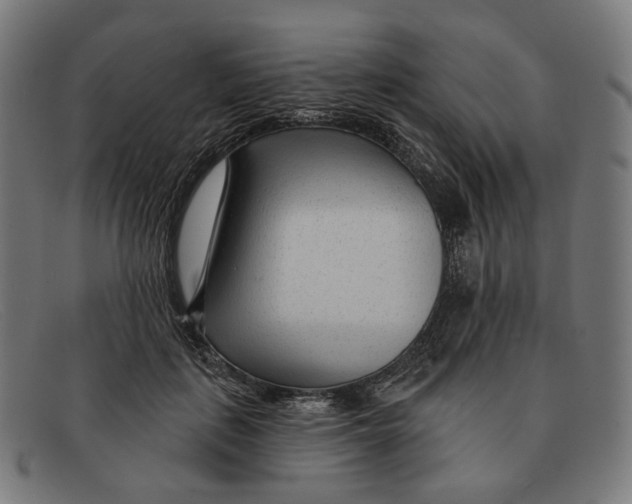 X0000091470651200709131753