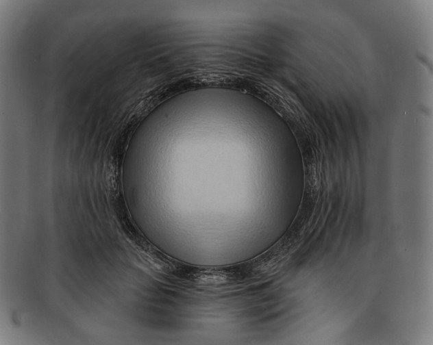 X0000091470653200709131753