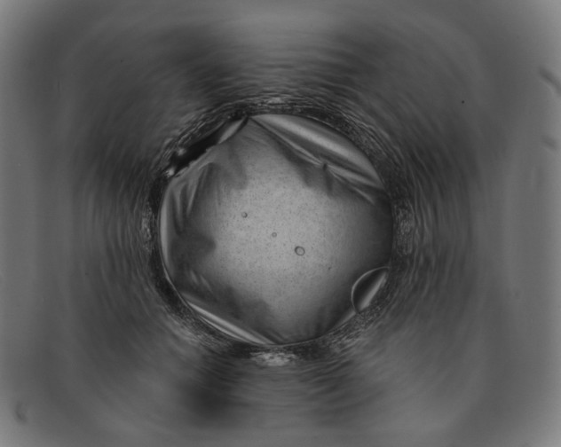 X0000091470654200709131753