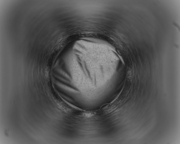 X0000091470662200709131753