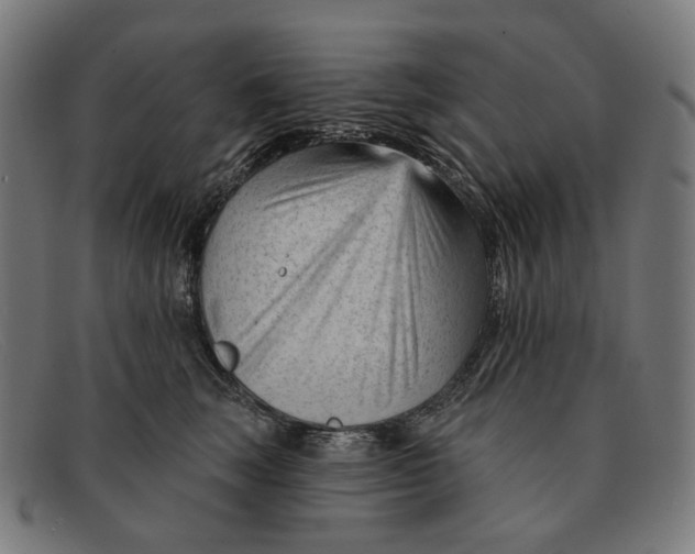 X0000091470663200709131753