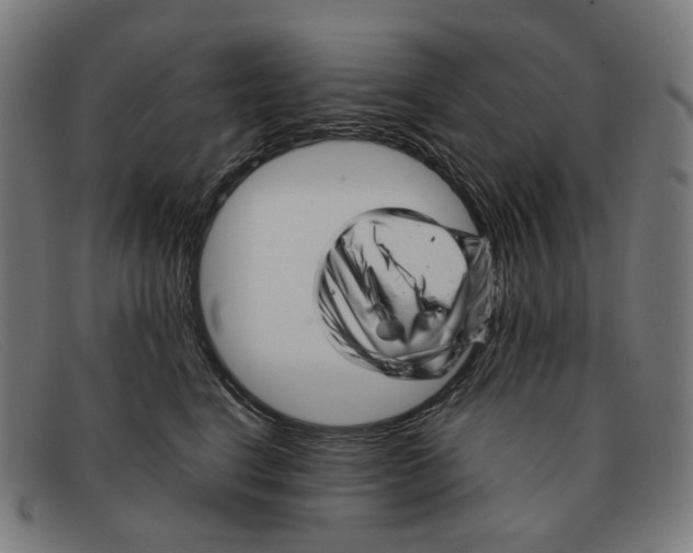 X0000091470664200709131753