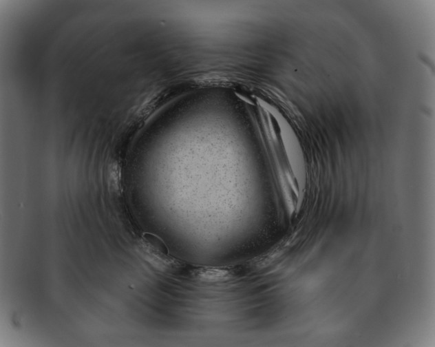 X0000091470669200709131754