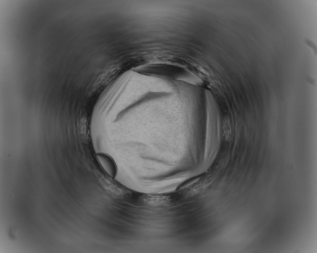 X0000091470670200709131754