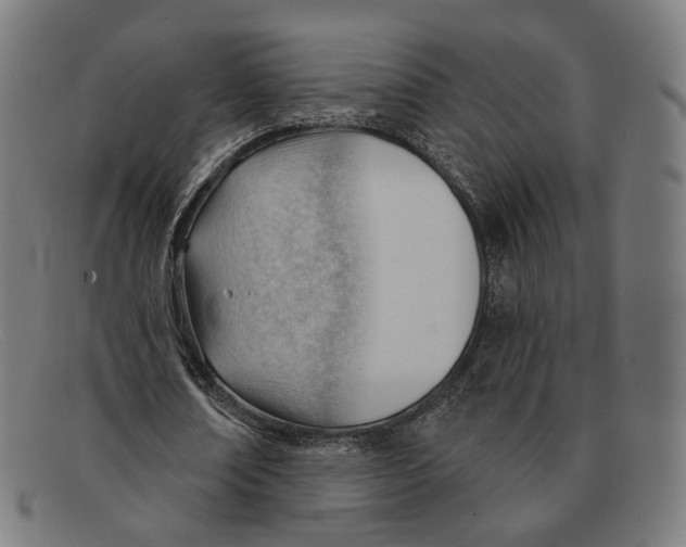 X0000091470674200709131753