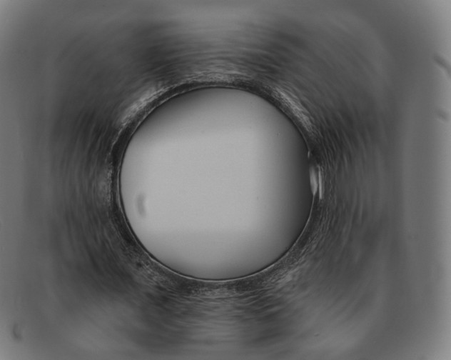 X0000091470675200709131753