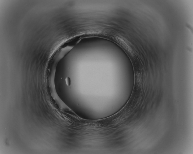 X0000091470676200709131753