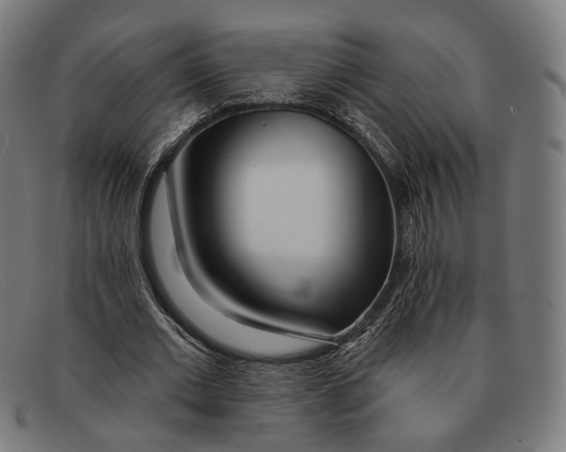 X0000091470677200709131753