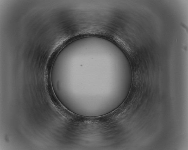 X0000091470680200709131753