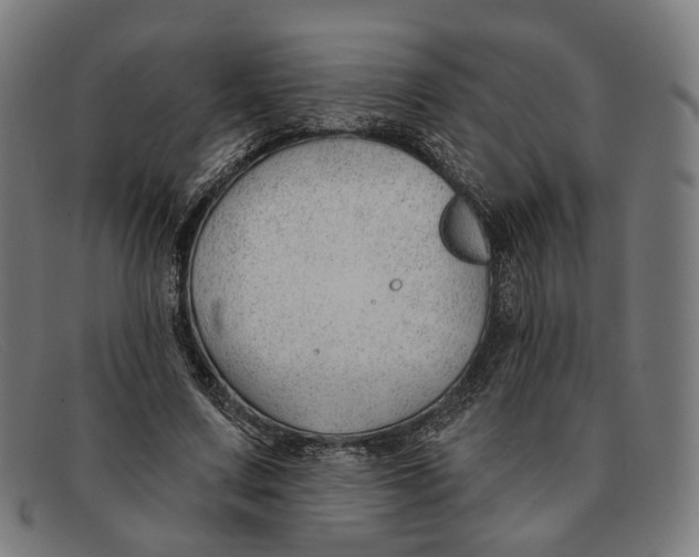 X0000091470683200709131753