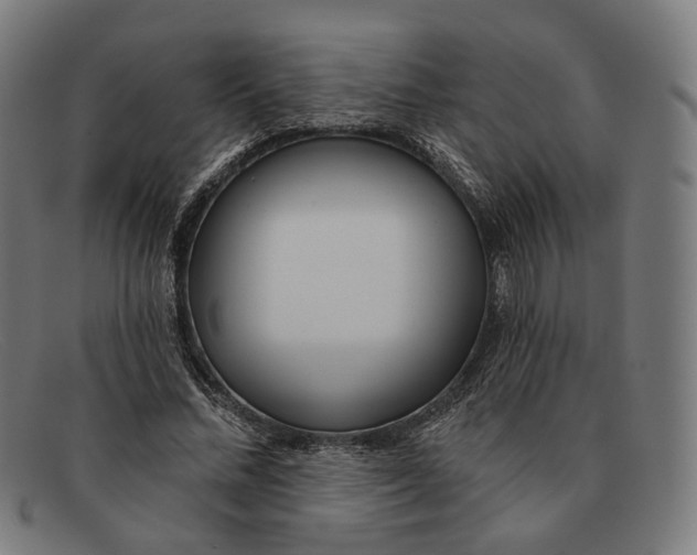 X0000091470684200709131753