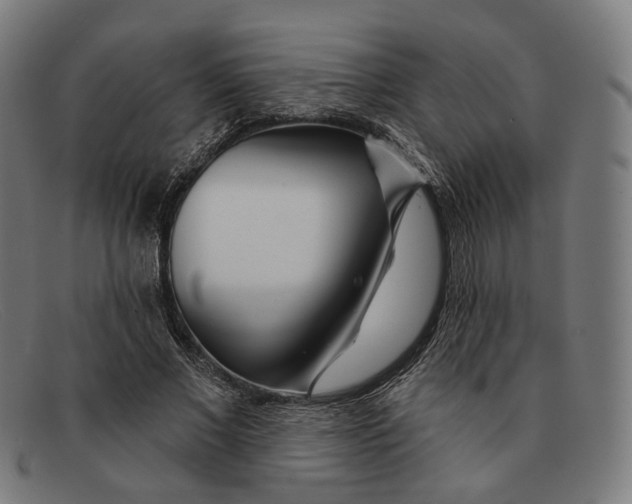 X0000091470685200709131753