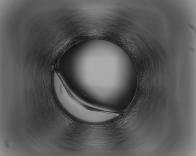 X0000091470689200709131753