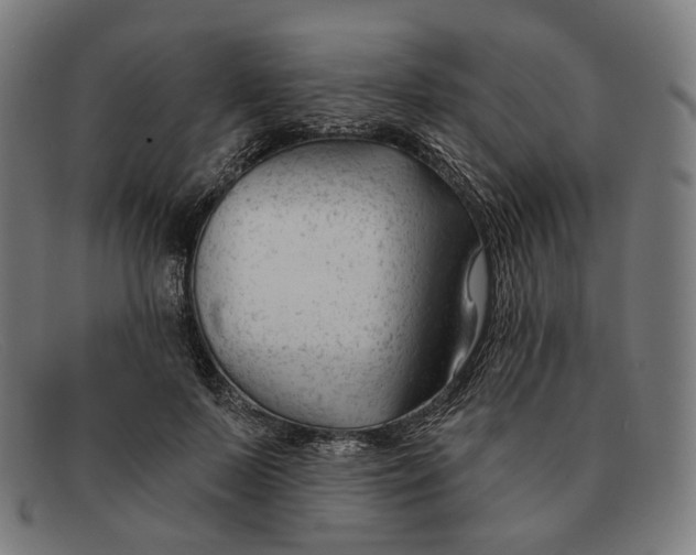 X0000091470695200709131753