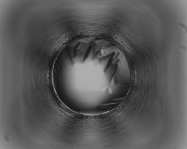 X0000091470696200709131753