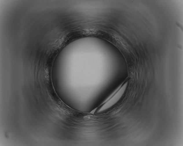 X0000091470700200709131752