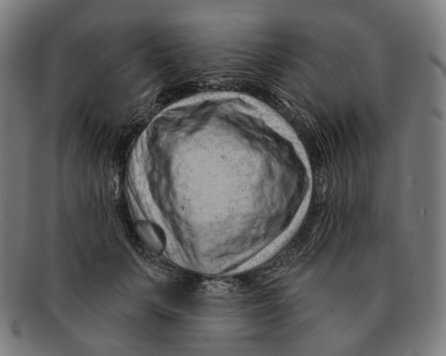 X0000091470703200709131752