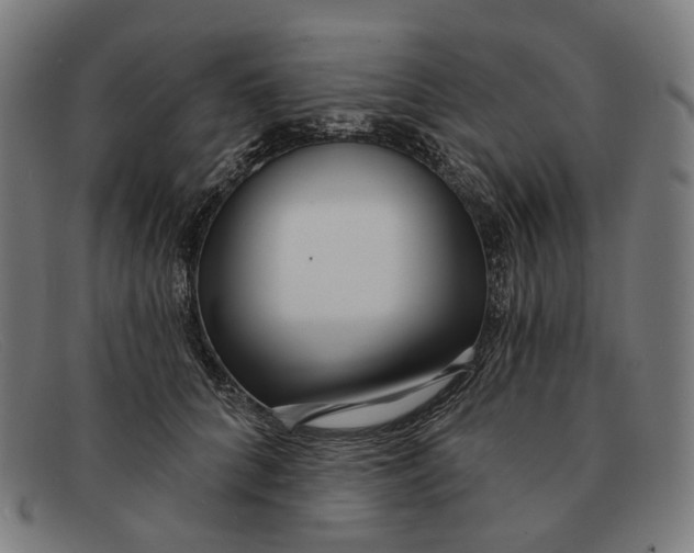 X0000091470704200709131752