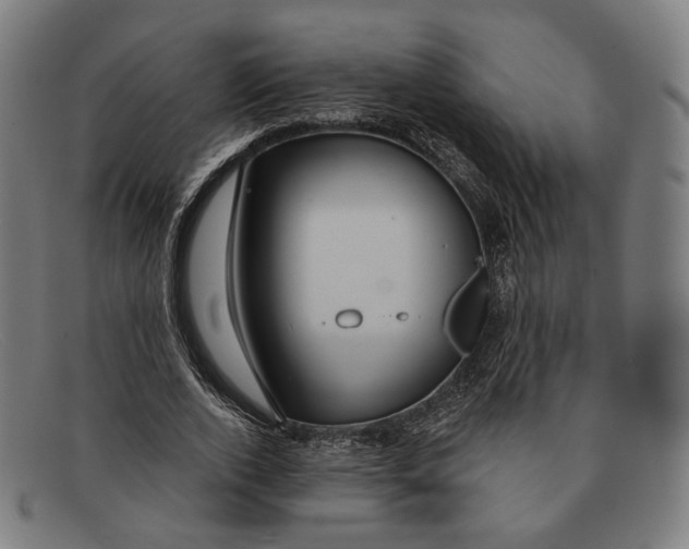 X0000091470728200709131752