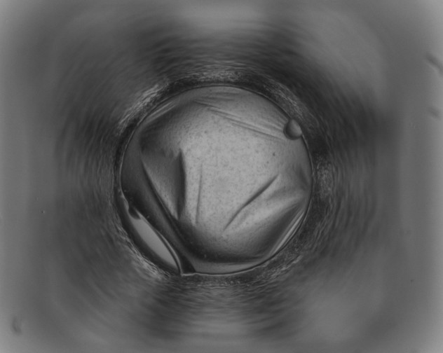 X0000091470729200709131752