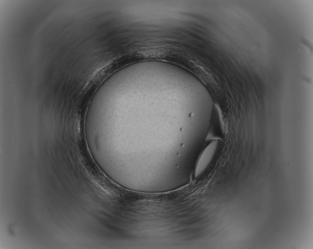 X0000091470733200709131752