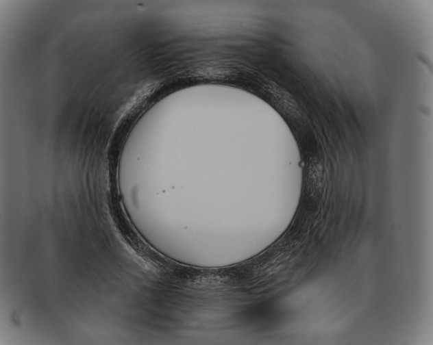 X0000091470734200709131752