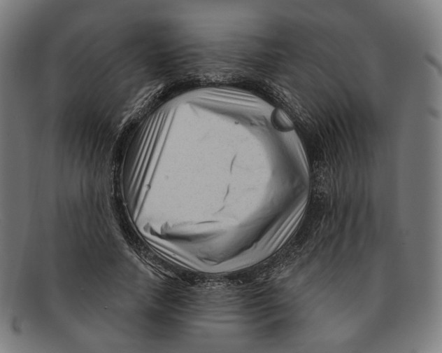 X0000091470738200709131752