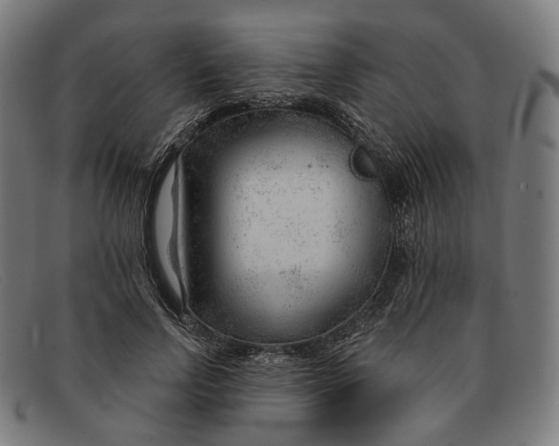 X0000091470742200709131752