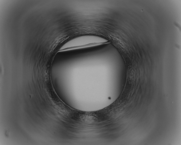 X0000091470743200709131752