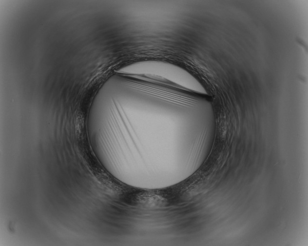 X0000091470747200709131752